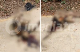 IMAGENS FORTES: corpo de homem é encontrado carbonizado no ramal do Brasileirinho