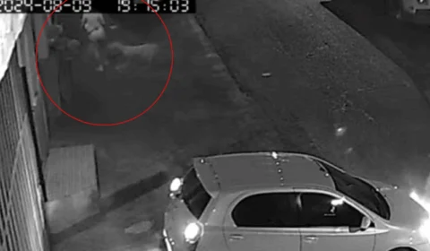 VEJA VÍDEO: mãe e filha ficam gravemente feridas após serem atacadas por cachorros