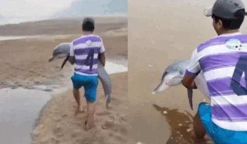 VEJA VÍDEO: boto fica encalhado por conta da seca e é resgatado por ribeirinhos no Amazonas