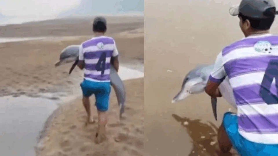 VEJA VÍDEO: boto fica encalhado por conta da seca e é resgatado por ribeirinhos no Amazonas