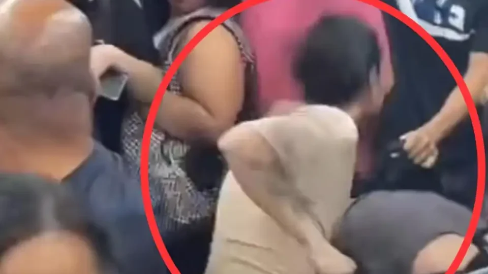 VEJA VÍDEO: passageiros trocam socos e chutes dentro de trem da CPTM