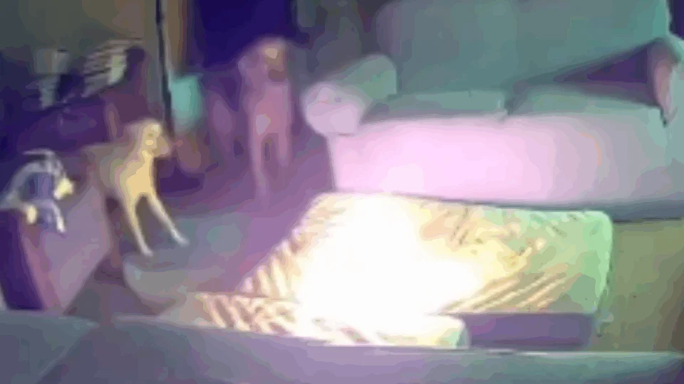 VEJA VÍDEO: cachorro morde carregador portátil de celular e põe fogo em casa