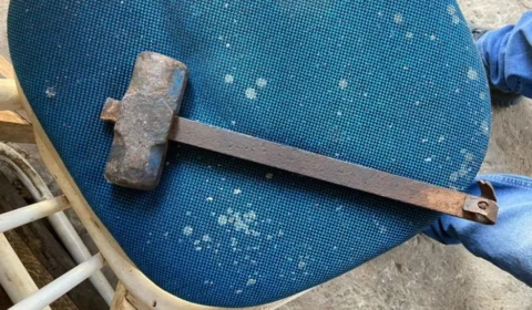 Justiça condena homem que matou cachorra após abusar sexualmente dela