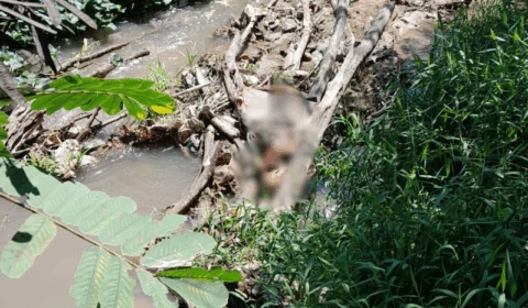 Ossada humana é encontrada presa em galhos dentro de igarapé na zona Leste de Manaus