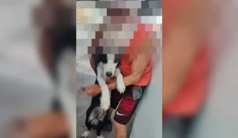 Idoso de 75 anos é preso após estuprar suas cadelas