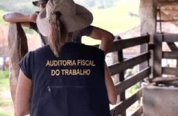 Operação federal resgata 593 pessoas submetidas a trabalho escravo