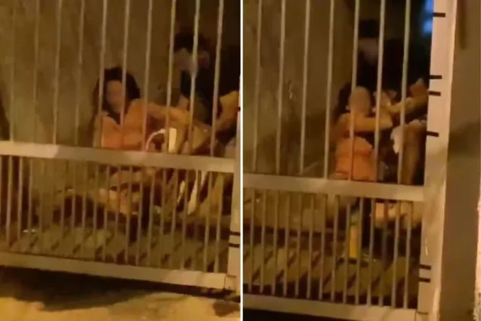 VEJA VÍDEO: homem agride e arrasta mulher enquanto ela é atacada por pit bull