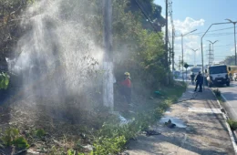 Vídeo: incêndio atinge área de mata no INPA em Manaus