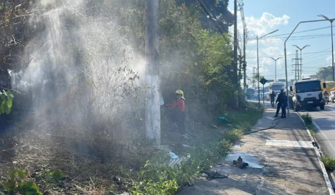 Vídeo: incêndio atinge área de mata no INPA em Manaus