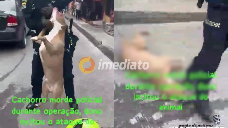 Vídeo: Pitbull ataca policial e só solta após ser morto a tiros
