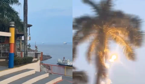 Vídeo: homem solta fogos de artifício contra periquitos na orla de Itacoatiara