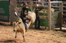 Wilson Lima prevê R$ 230 milhões em movimentação econômica na Expoagro 2024