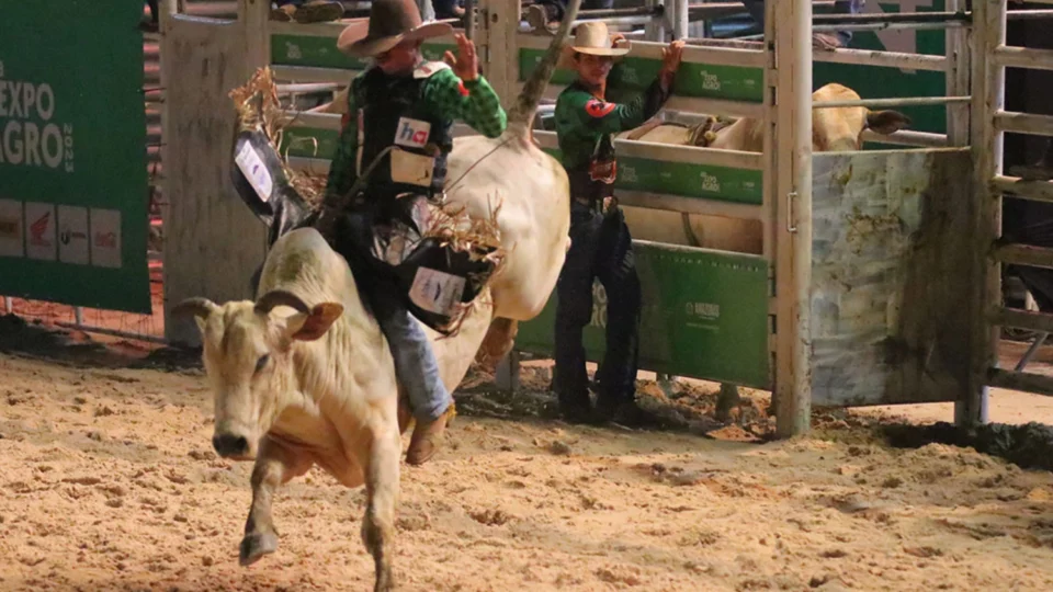 Wilson Lima prevê R$ 230 milhões em movimentação econômica na Expoagro 2024