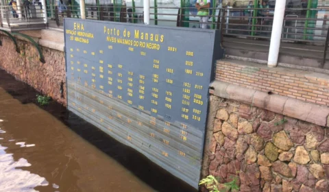 Rio Negro desce 5 metros apenas em agosto e seca avança em setembro, aponta Defesa Civil