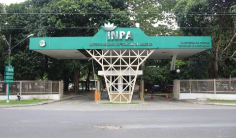 Inpa abre seleção para vagas no Programa de Iniciação Científica; confira