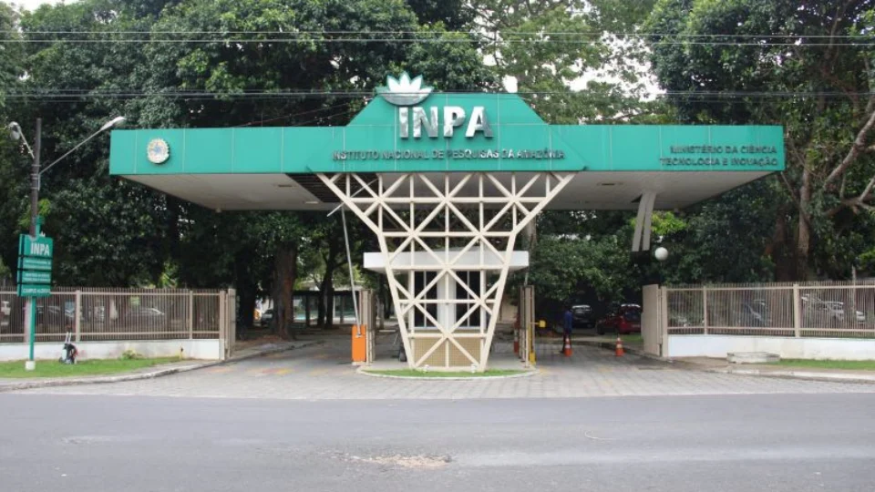 Inpa abre seleção para vagas no Programa de Iniciação Científica; confira