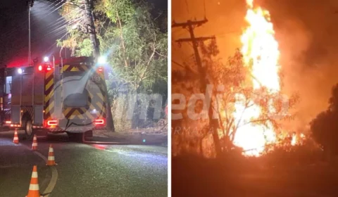 VÍDEOS: incêndio é causado por maconheiros que jogaram ‘bituca de maconha’ na mata, afirma população