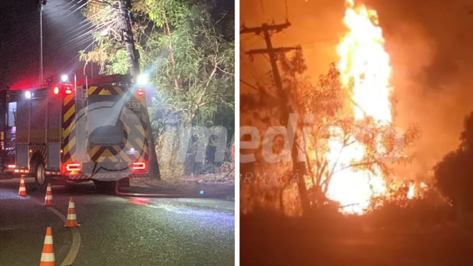 VÍDEOS: incêndio é causado por maconheiros que jogaram ‘bituca de maconha’ na mata, afirma população