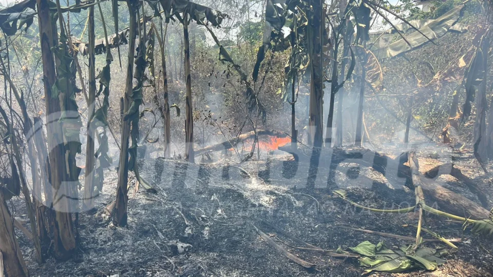 Incêndio de grandes proporções atinge área de mata na Avenida Djalma Batista