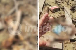 VEJA VÍDEO: ossada humana é encontrada na feira da Panair em Manaus