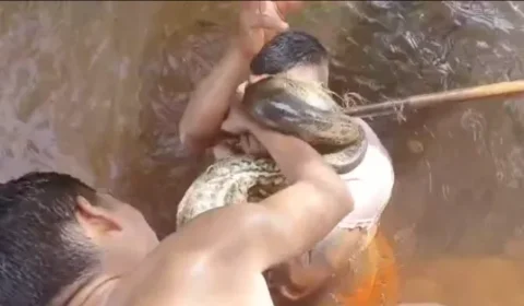 VEJA VÍDEO: para escapar de ataque em rio, homem morde sucuri no Pará