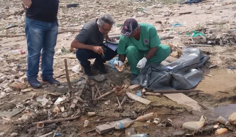 Fotos: ‘cemitério de ossos’ é revelado por causa da seca no Rio Negro no Educandos