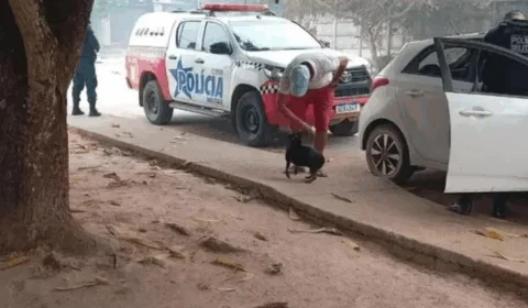 Criança de 7 anos é assassinada pelo padrasto em Novo Progresso, Pará