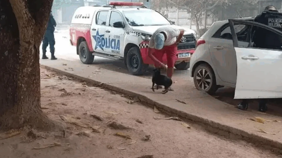 Criança de 7 anos é assassinada pelo padrasto em Novo Progresso, Pará