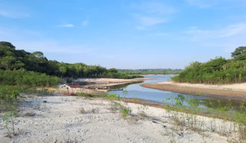 Museu do Seringal fecha para visitação em virtude da severa estiagem que afeta o Amazonas
