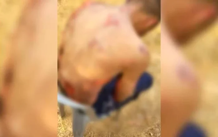 Suspeito de furtar mercado tem corpo queimado por dono do comércio