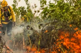 Brasil já registrou mais de 154 mil focos de calor este ano