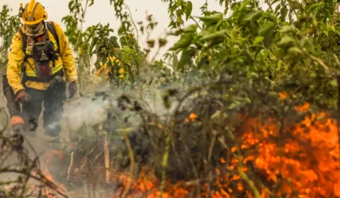 Brasil já registrou mais de 154 mil focos de calor este ano