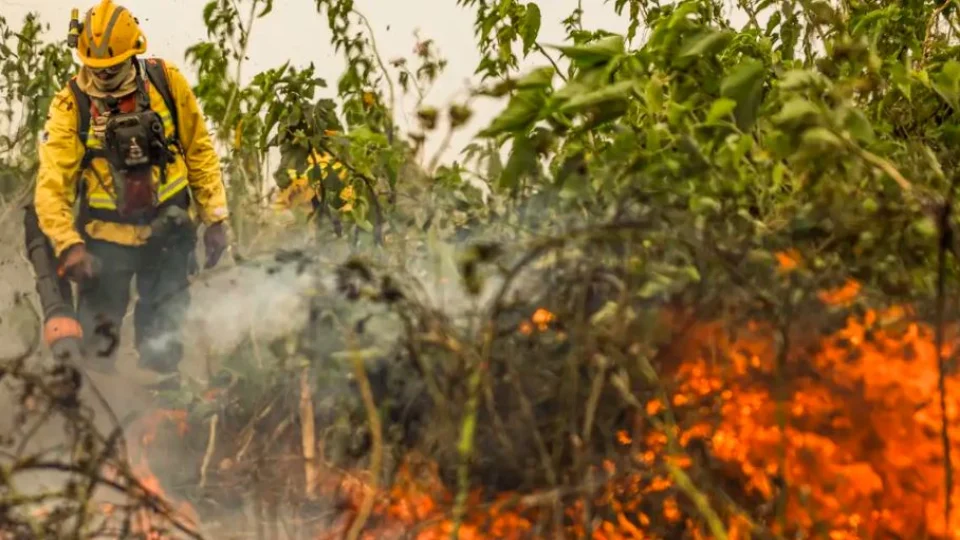 Brasil já registrou mais de 154 mil focos de calor este ano