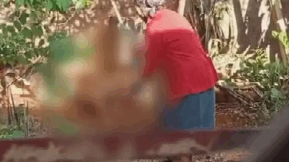 VEJA VÍDEO: idosa amarra cão pelo pescoço e agride animal com intenção de matá-lo