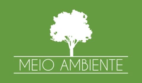 Justiça barra mineração ilegal em áreas protegidas após ação do MPF