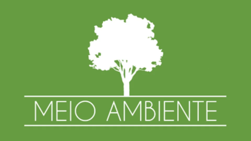 Justiça barra mineração ilegal em áreas protegidas após ação do MPF