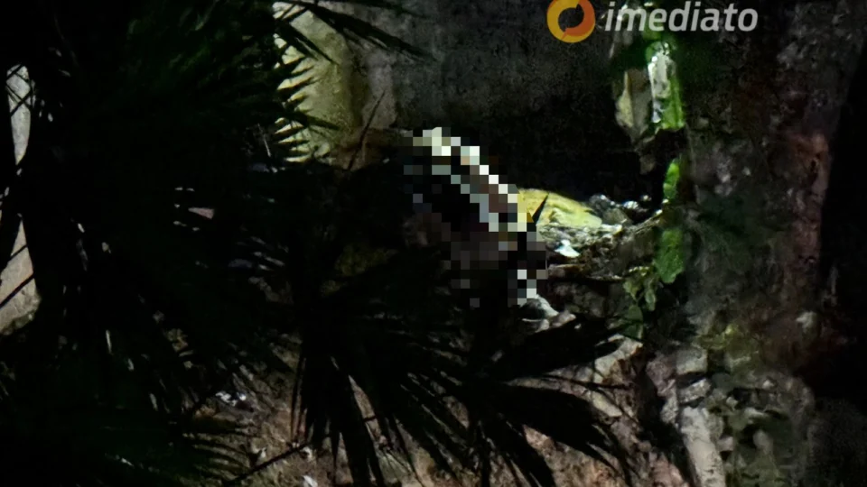 Homem é morto após ser amarrado, torturado e baleado no Braga Mendes