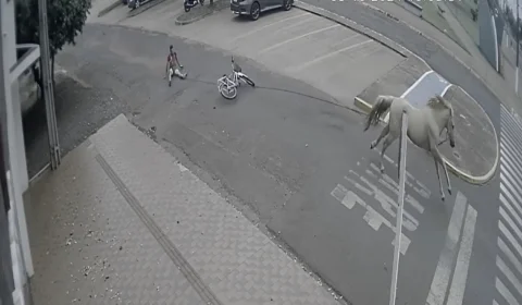 Vídeo: homem é arrastado por cavalo por 750 metros, deixando nádegas em carne viva