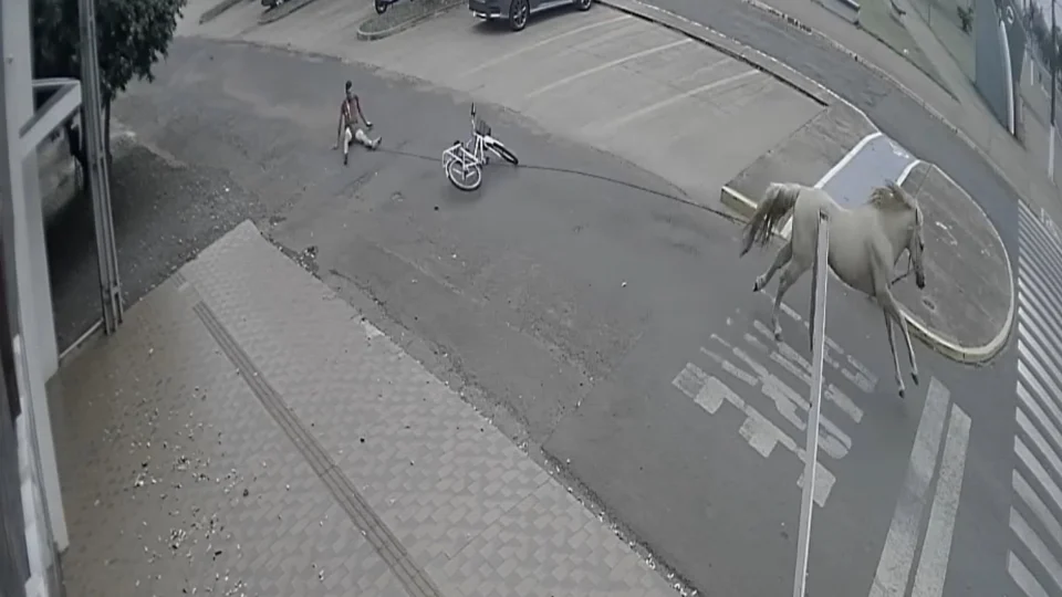 Vídeo: homem é arrastado por cavalo por 750 metros, deixando nádegas em carne viva