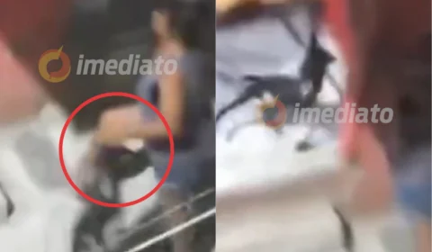 Vídeo: cachorra é carregada pela orelha e arremessada por mulher no Rio de Janeiro