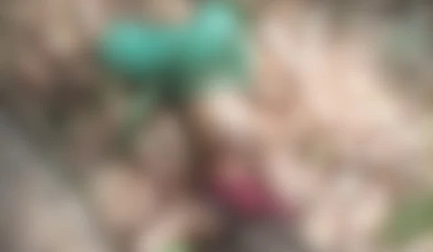 Vídeo: corpo em estado de decomposição é encontrado em área de mata no Ramal Água Branca