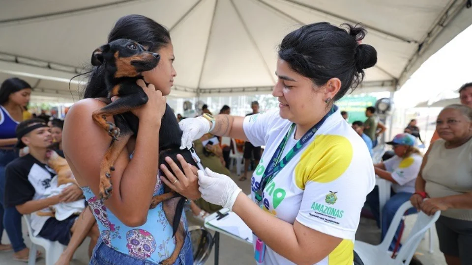 Ação promove serviços de castração e vacinação para cães e gatos em Manaus