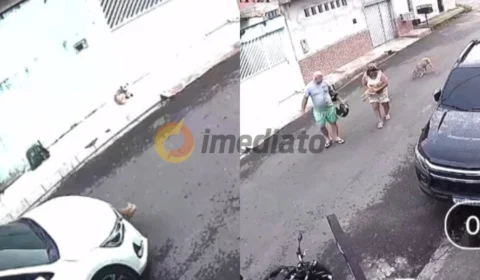 Vídeo: gato morre atropelado e motorista foge sem prestar socorro, no Cidade Nova