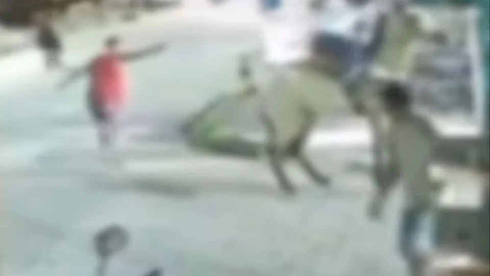 VEJA VÍDEO: homem montado em cavalo é morto a tiros no meio da rua