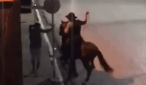 VEJA VÍDEO: jovem leva chicotadas de homem montado a cavalo no meio da rua