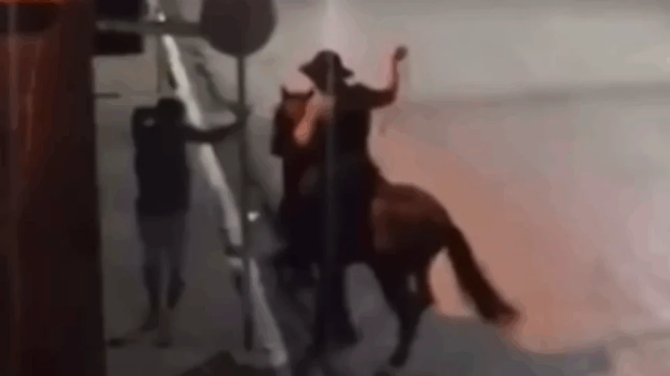 VEJA VÍDEO: jovem leva chicotadas de homem montado a cavalo no meio da rua