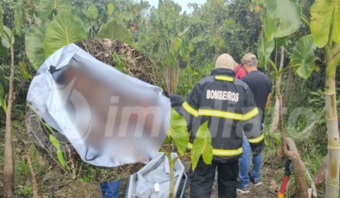 VÍDEO: corpo de homem é encontrado esquartejado dentro de cova no Amazonas