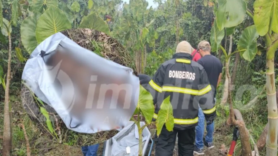 VÍDEO: corpo de homem é encontrado esquartejado dentro de cova no Amazonas