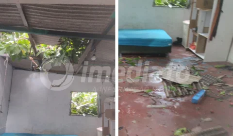 Árvore cai e destrói telhado de residência no bairro Colônia Antônio Aleixo