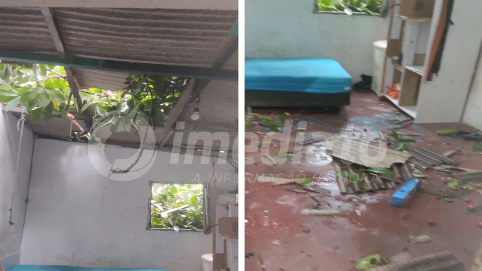 Árvore cai e destrói telhado de residência no bairro Colônia Antônio Aleixo